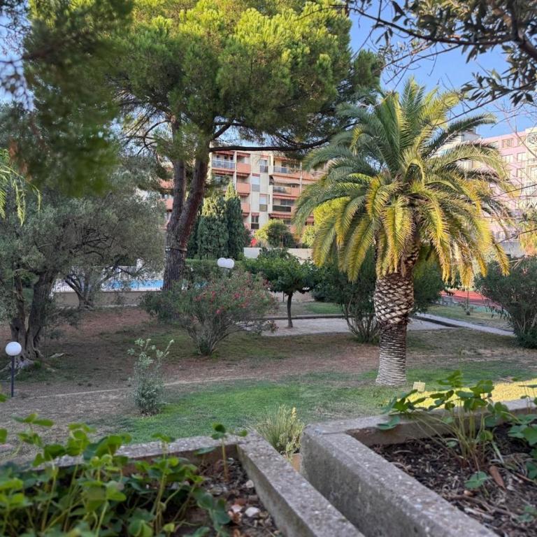 Hyeres Var Résidence avec piscine et tennis - Appartement 1 Chambre - 6