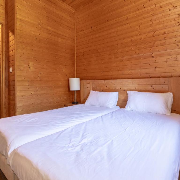 Résidence Odalys Les Chalets d'Evian - 3 Room Apartment - 6 People - 15