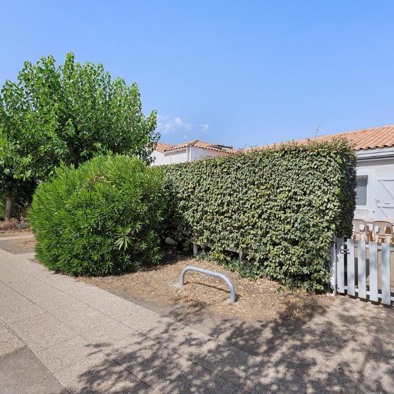 La petite Perle - Maison 1 Chambre - 25