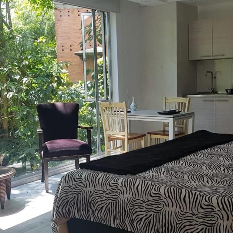 Luxury Nature Suite El Tesoro - One-Bedroom Apartment with View - 3