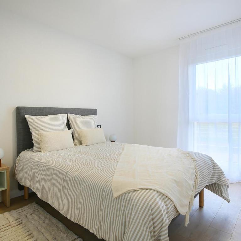 Serenly Mimizan - Appartement 1 Chambre - 6