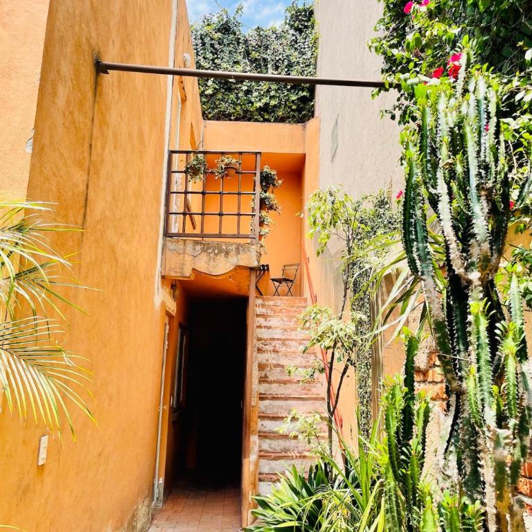 Oasis San Miguel 1 - Apartamento de 1 dormitorio - 1