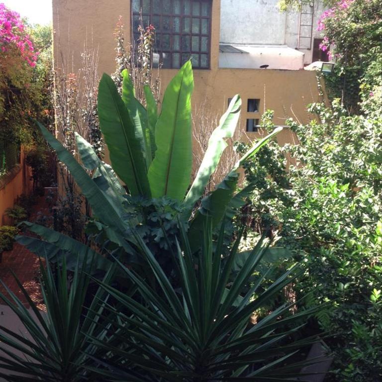 Oasis San Miguel 1 - Apartamento de 1 dormitorio - 19