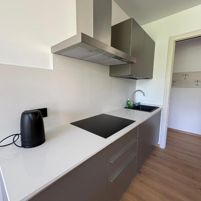 Lift and Lodge Apartments - Apartamento de 2 dormitorios con vistas a la montaña - 11