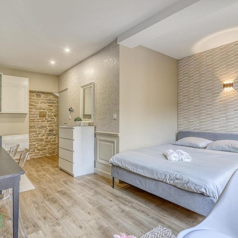 Studio Charme & Confort - Tout équipé, au cœur de Dijon - Apartamento Estudio con cama extragrande - 2