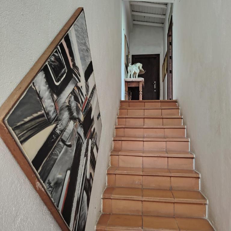 Luxury Nature Suite El Tesoro - One-Bedroom Apartment with View - 23