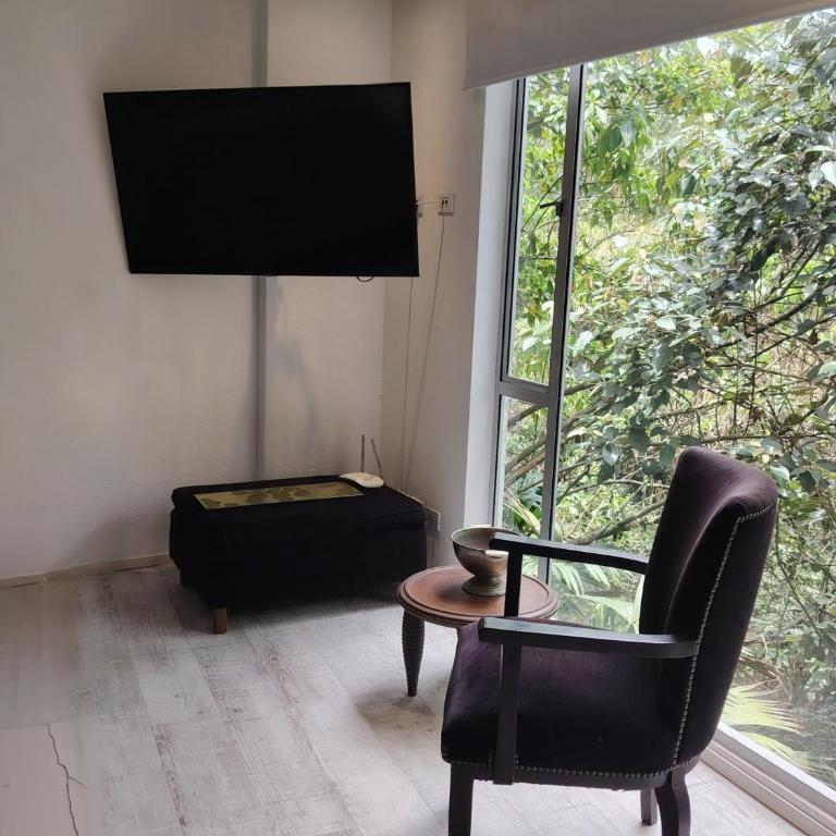 Luxury Nature Suite El Tesoro - One-Bedroom Apartment with View - 27