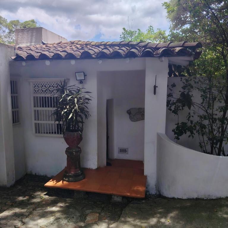 Luxury Nature Suite El Tesoro - One-Bedroom Apartment with View - 6