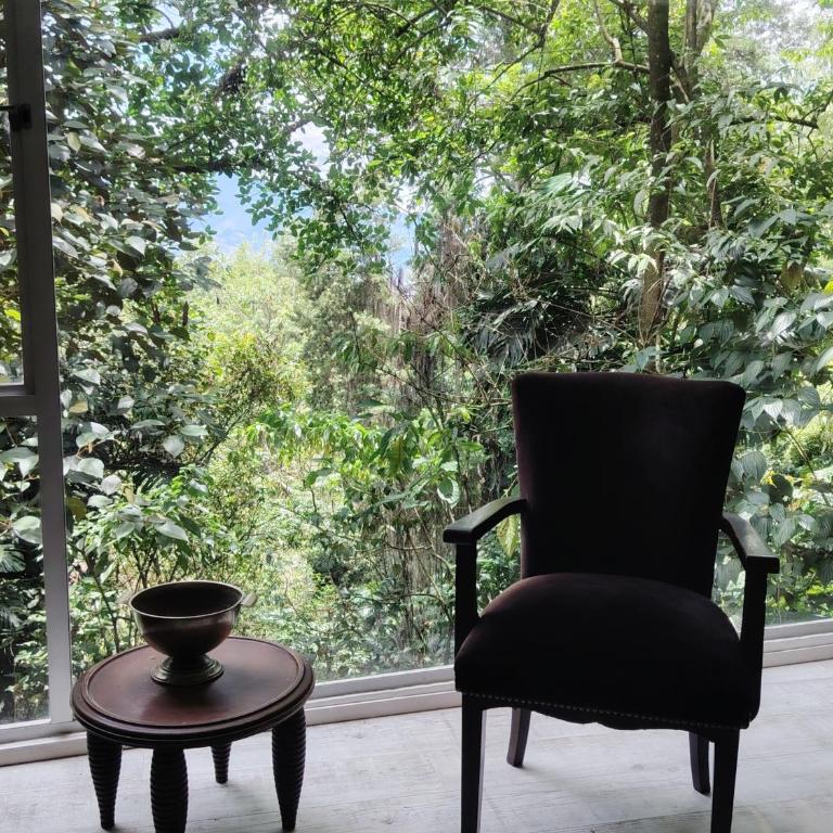 Luxury Nature Suite El Tesoro - One-Bedroom Apartment with View - 39