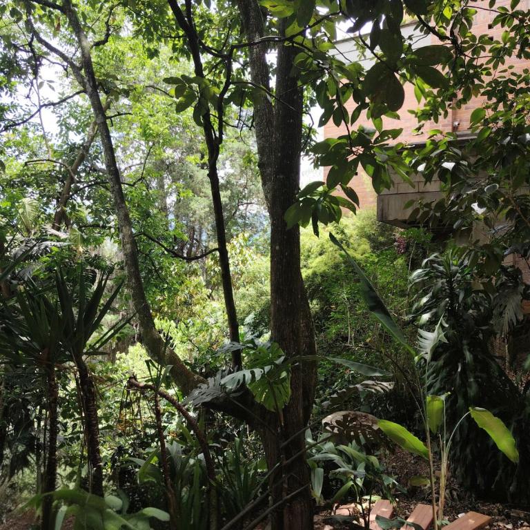 Luxury Nature Suite El Tesoro - One-Bedroom Apartment with View - 32
