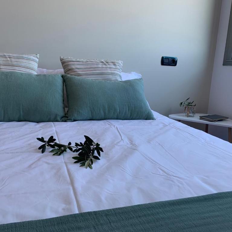 Trébole - Alojamiento con Piscina - A Coruña Ciudad - Apartamento de 3 dormitorios - 24