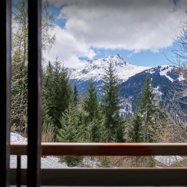 Chalet Jorat - OVO Network - Chalet - 15