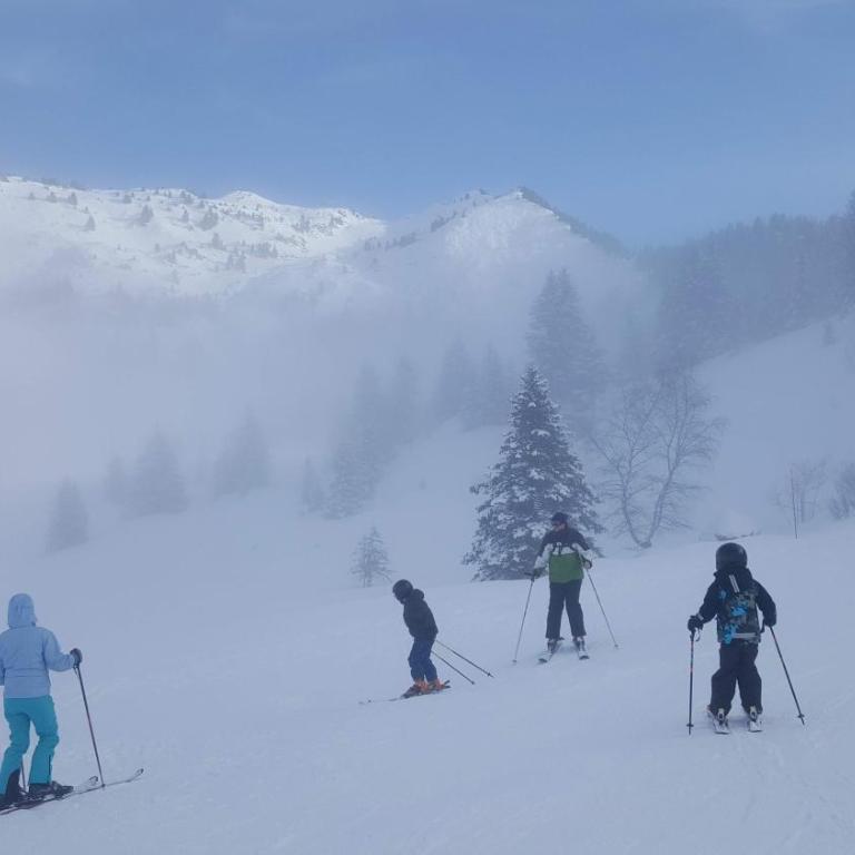 Clos des Gentianes 68m2 - 3 Chambres - Sur les pistes - Appartement 3 Chambres - 4
