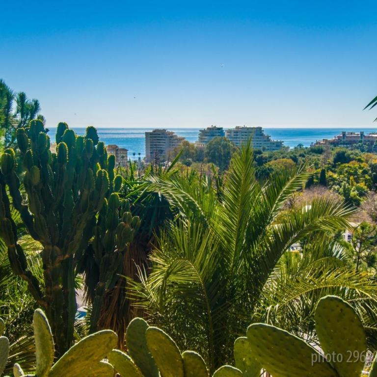 PAX Benalmádena Suites - Deluxe Queen Studio - 22