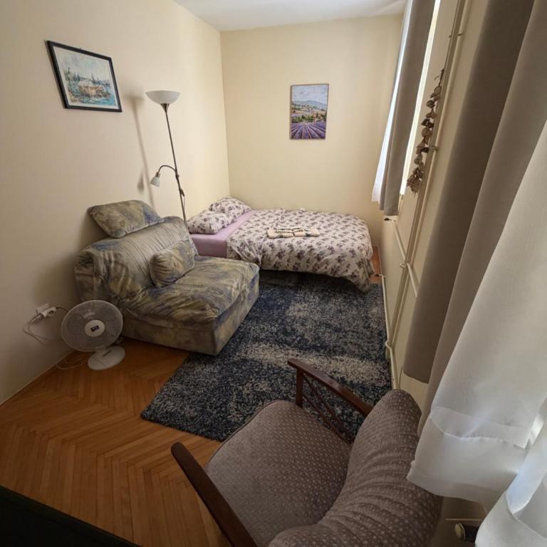 Rakic apartment - Apartman sa 1 Spavaćom Sobom - 8