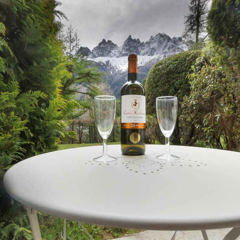 Résidence du Brévent - Chamonix Village - One-Bedroom Apartment with Garden View - 10