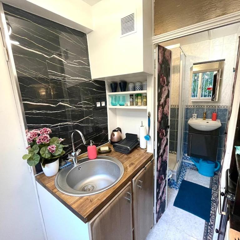 Studio and its garden, Paris - Appartement 1 Chambre - 9