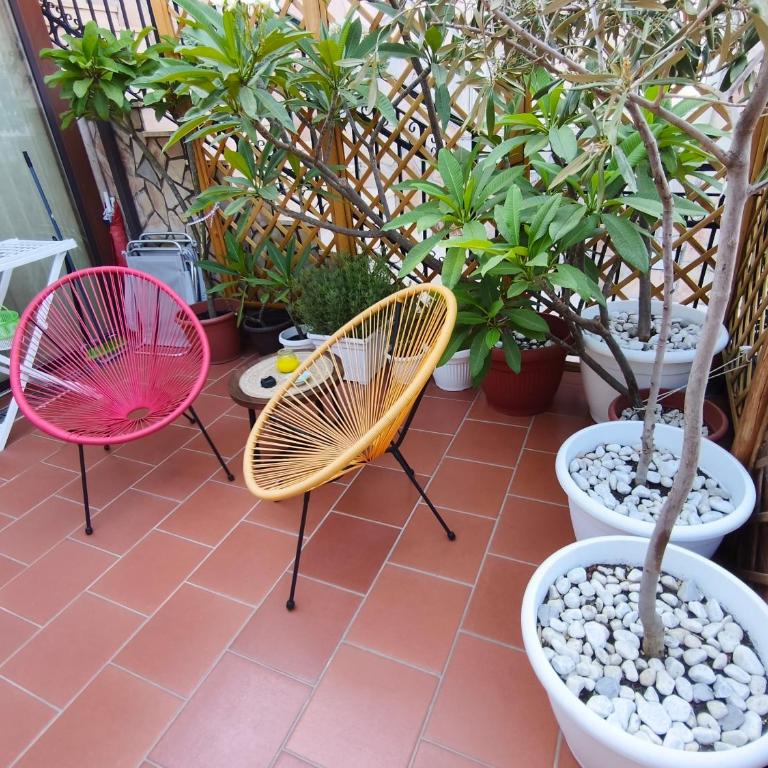 Casetta delle Mimose - Monolocale - 13