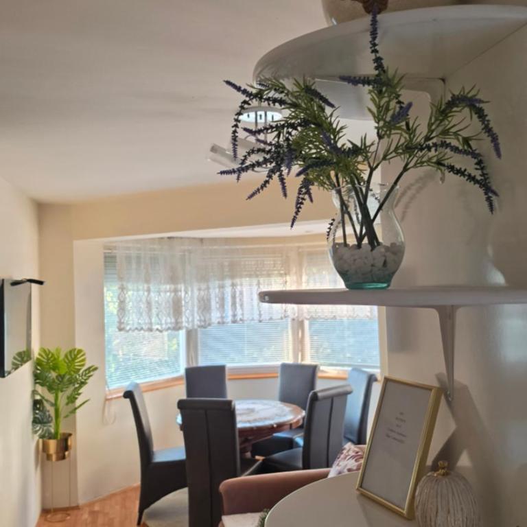 Apartmani Cvetković - Apartman sa 1 Spavaćom Sobom - 18