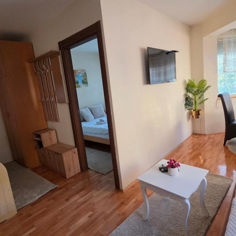 Apartmani Cvetković - Apartman sa 1 Spavaćom Sobom - 20