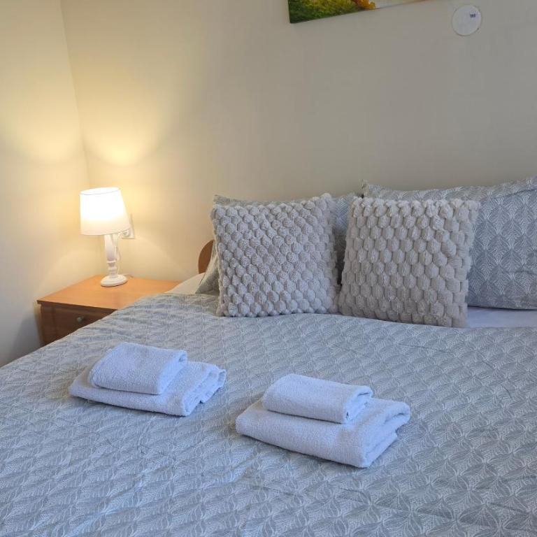 Apartmani Cvetković - Apartman sa 1 Spavaćom Sobom - 13