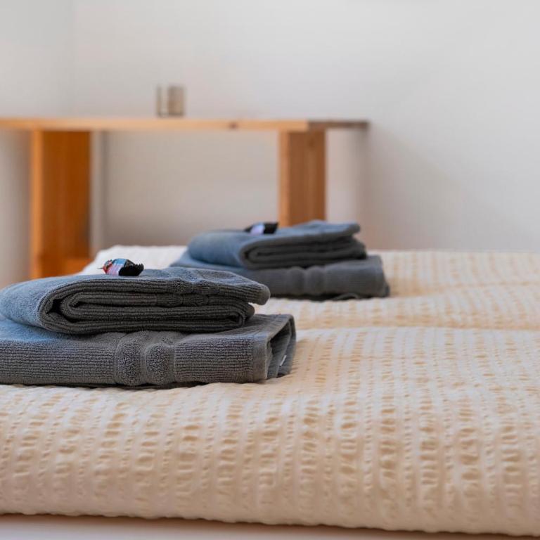 Pritscheshof Ferienwohnung Terrasse - Apartamento de 2 dormitorios con vistas a la montaña - 19