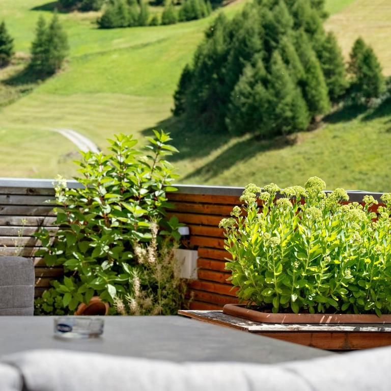 Pritscheshof Ferienwohnung Terrasse - Apartamento de 2 dormitorios con vistas a la montaña - 3