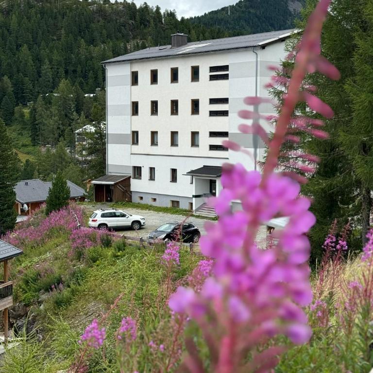 Studio Turracher Höhe - Appartamento con 1 Camera da Letto - 20