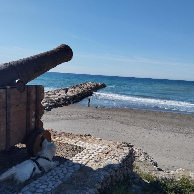 Apartamento Duplex Amanecer Laguna Beach Torrox costa - Appartamento su 2 Livelli - 51