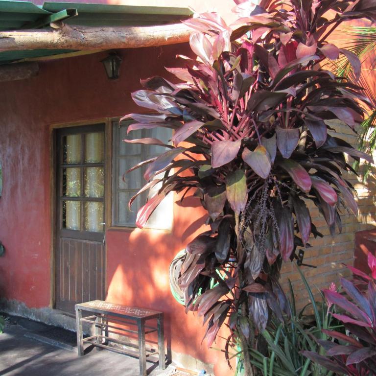 Casa de huéspedes cochera cubierta - Apartamento de 1 dormitorio - 8