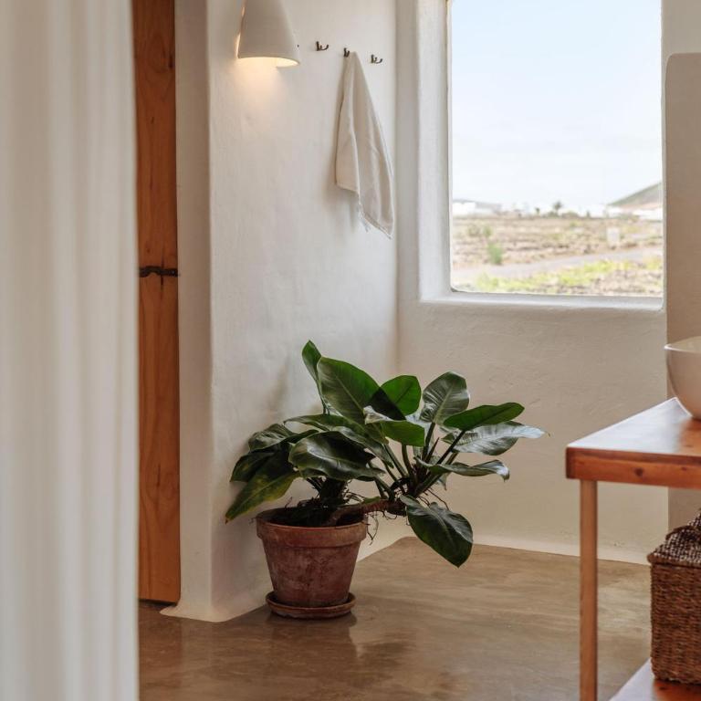 Canaryislandshost I Camellera - Apartamento con vistas a la piscina - 23