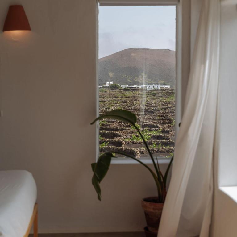 Canaryislandshost I Camellera - Apartamento con vistas a la piscina - 17