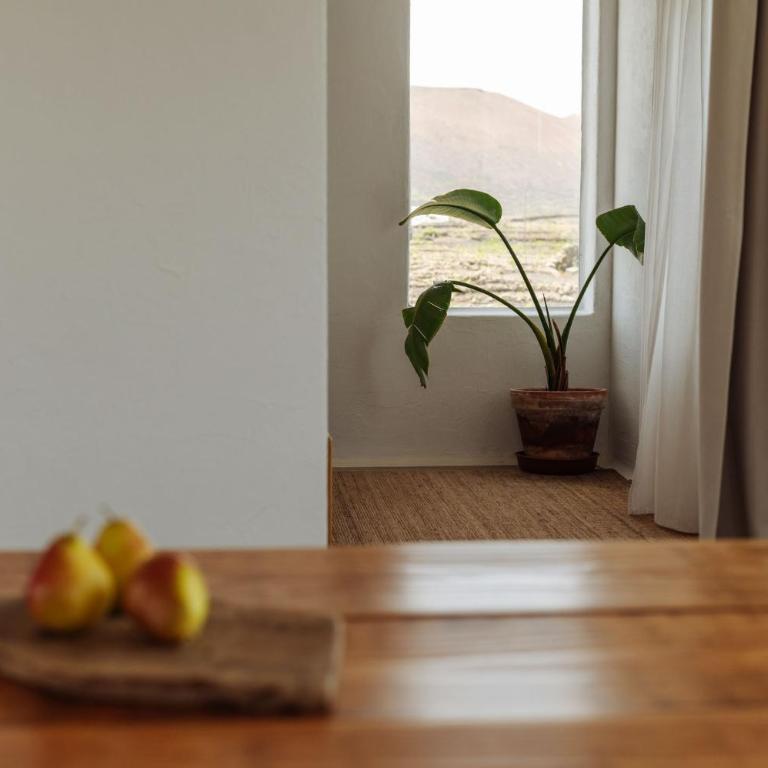 Canaryislandshost I Camellera - Apartamento con vistas a la piscina - 19