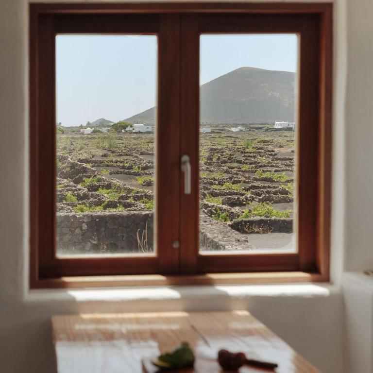 Canaryislandshost I Camellera - Apartamento con vistas a la piscina - 7