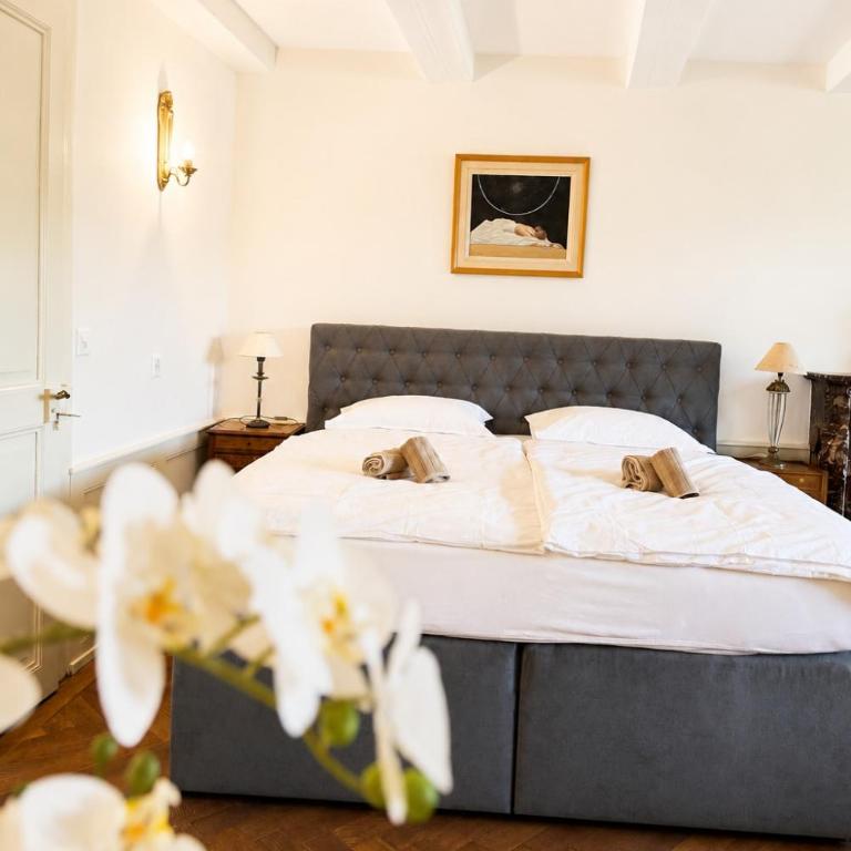 Le Jardin d'Aventicum - Elegant Old Town Apartment - Apartment mit 2 Schlafzimmern - 7
