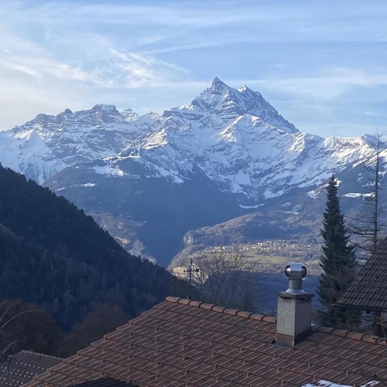 Little Chalet Piguet - Apartment mit 1 Schlafzimmer - 36