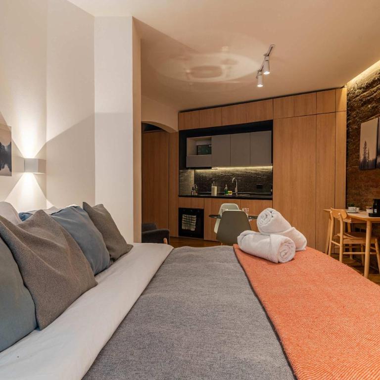 HOM I Wifi AirAcond Cultura Antiguedad Lastarria - Apartamento - 4