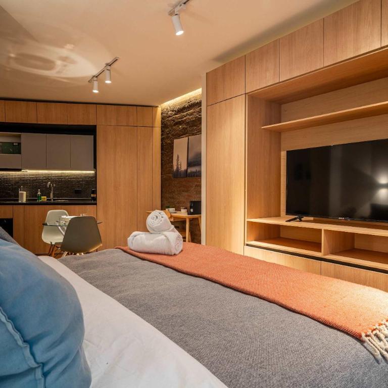HOM I Wifi AirAcond Cultura Antiguedad Lastarria - Apartamento - 29