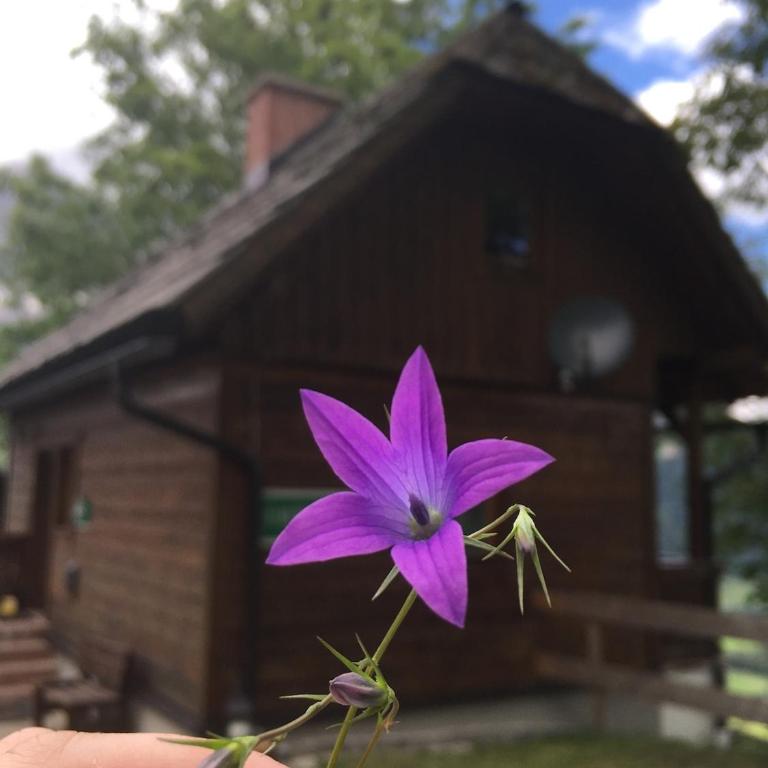 Schwab Brunner Almhütte Ferienhaus zum Entspannen - Haus mit 3 Schlafzimmern - 15