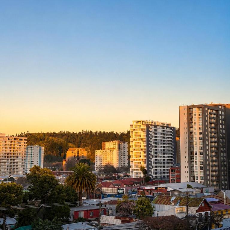 Centro Concepción - Estacionamiento Privado - Apartamento de 1 dormitorio - 9
