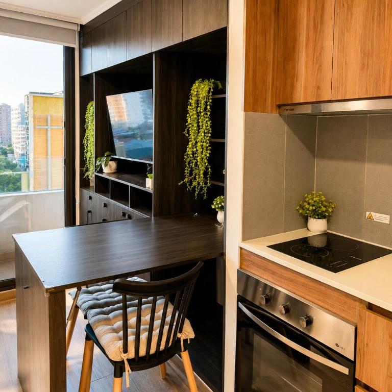 Centro Concepción - Estacionamiento Privado - Apartamento de 1 dormitorio - 12