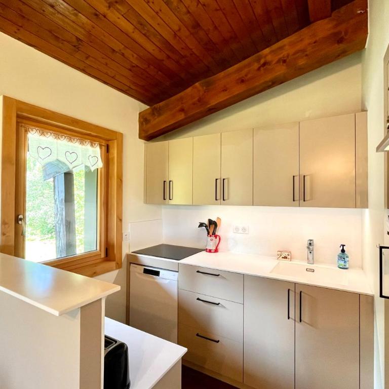 Appartement skis aux pieds avec balcon à Combloux - Appartement - 5