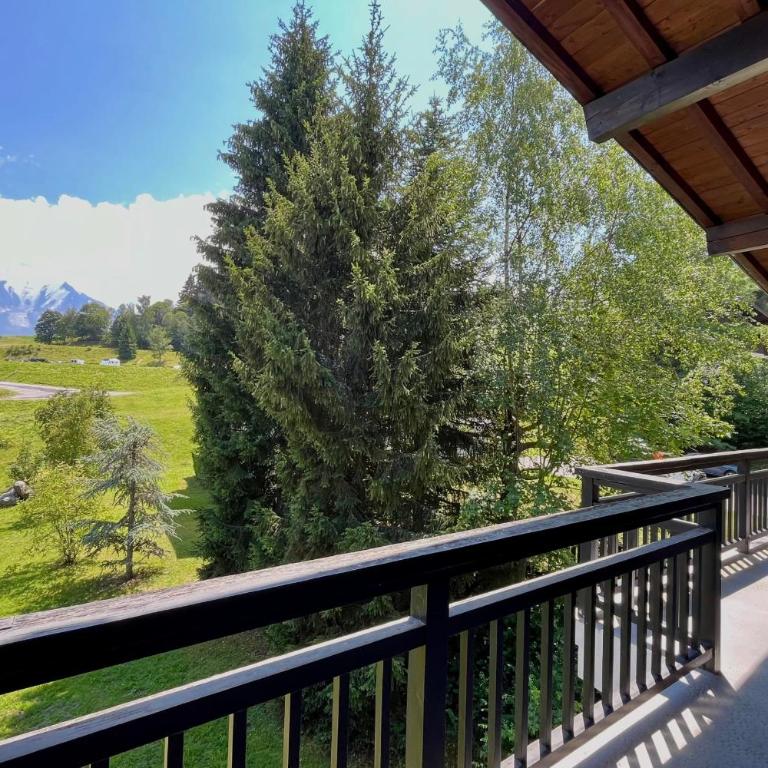Appartement skis aux pieds avec balcon à Combloux - Appartement - 13