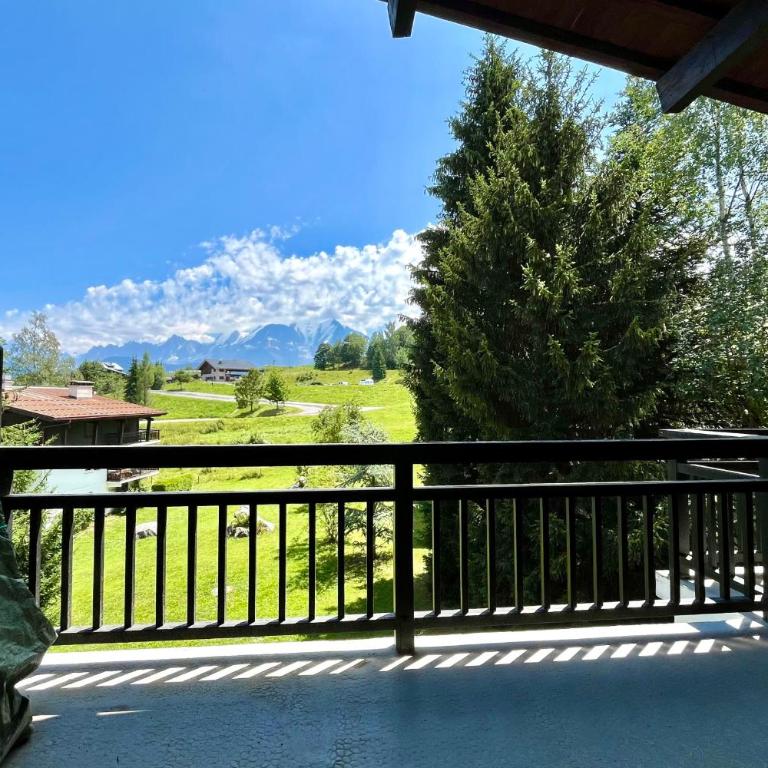 Appartement skis aux pieds avec balcon à Combloux - Appartement - 2
