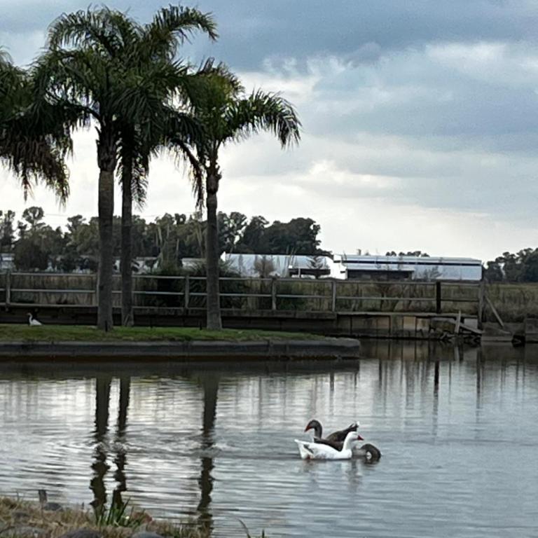 Cabañas del lago - Apartamento con vistas al lago - 12