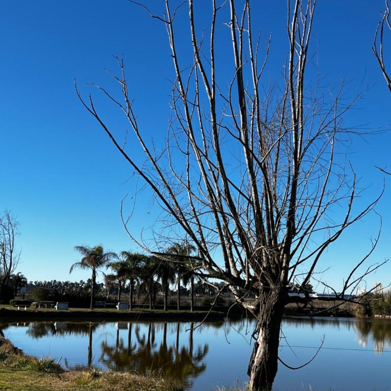 Cabañas del lago - Apartamento con vistas al lago - 18