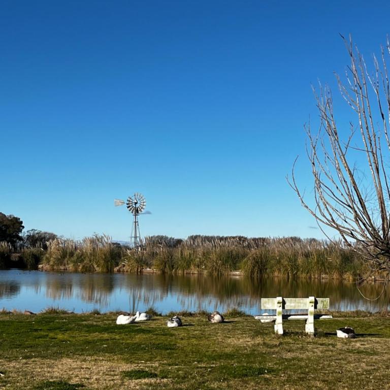 Cabañas del lago - Apartamento con vistas al lago - 24