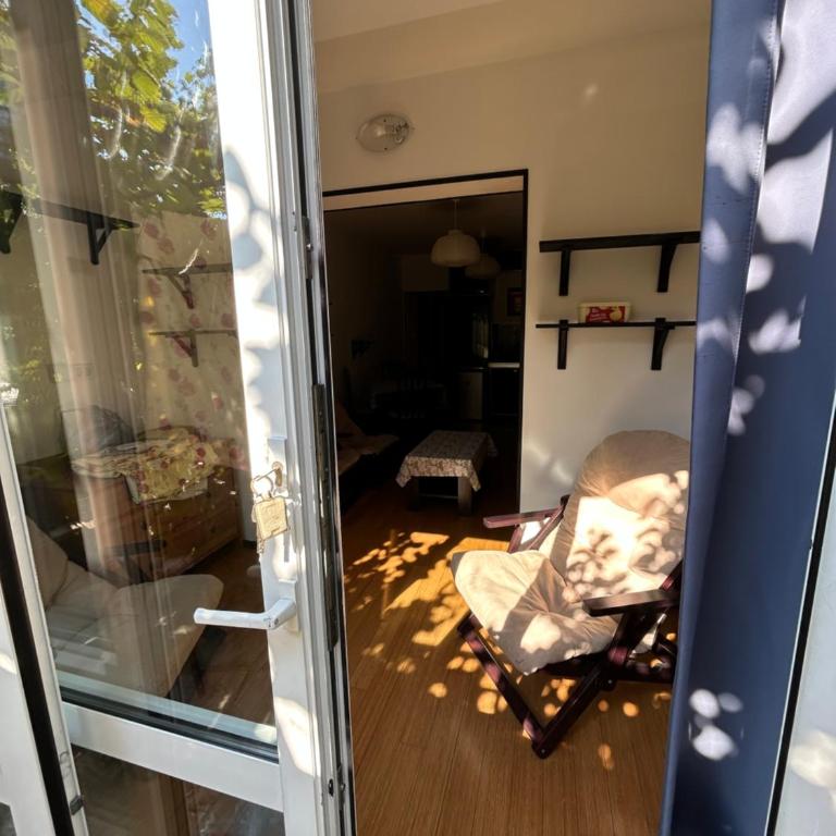 Diego - One-Bedroom Apartment - 2