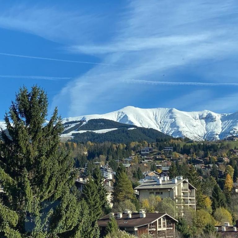 Cozy and beautiful property in Megève - Luxuriöse Ferienwohnung mit 4 Schlafzimmern - 12