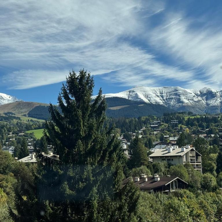 Cozy and beautiful property in Megève - Luxuriöse Ferienwohnung mit 4 Schlafzimmern - 4